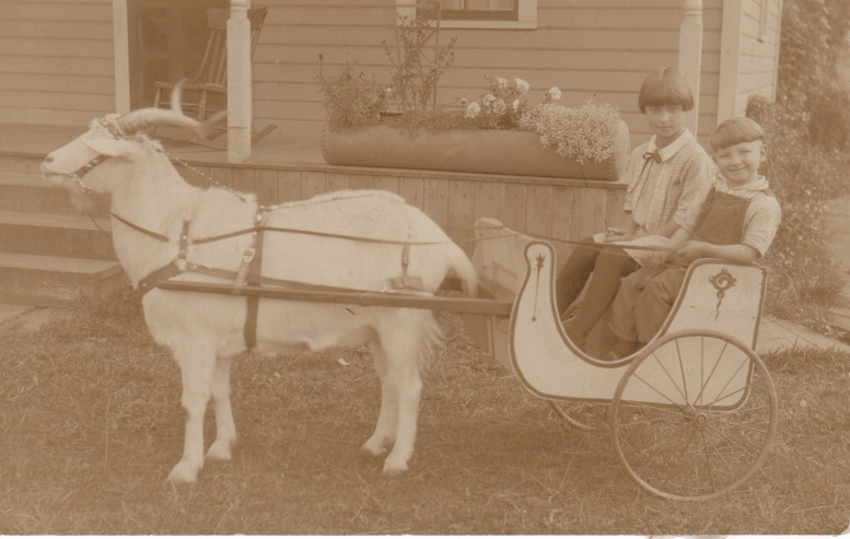 6. clyde & kathryn in a goat cart