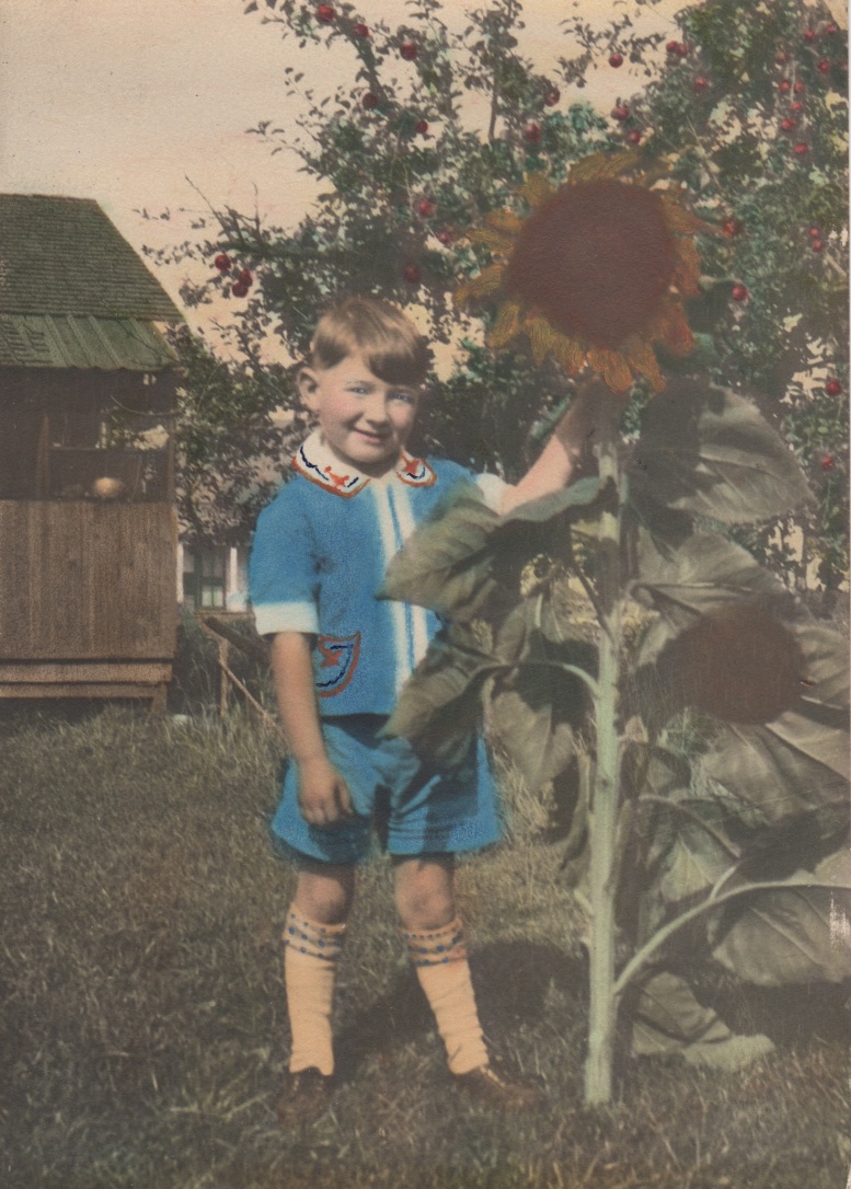 8. clyde grew this sunflower